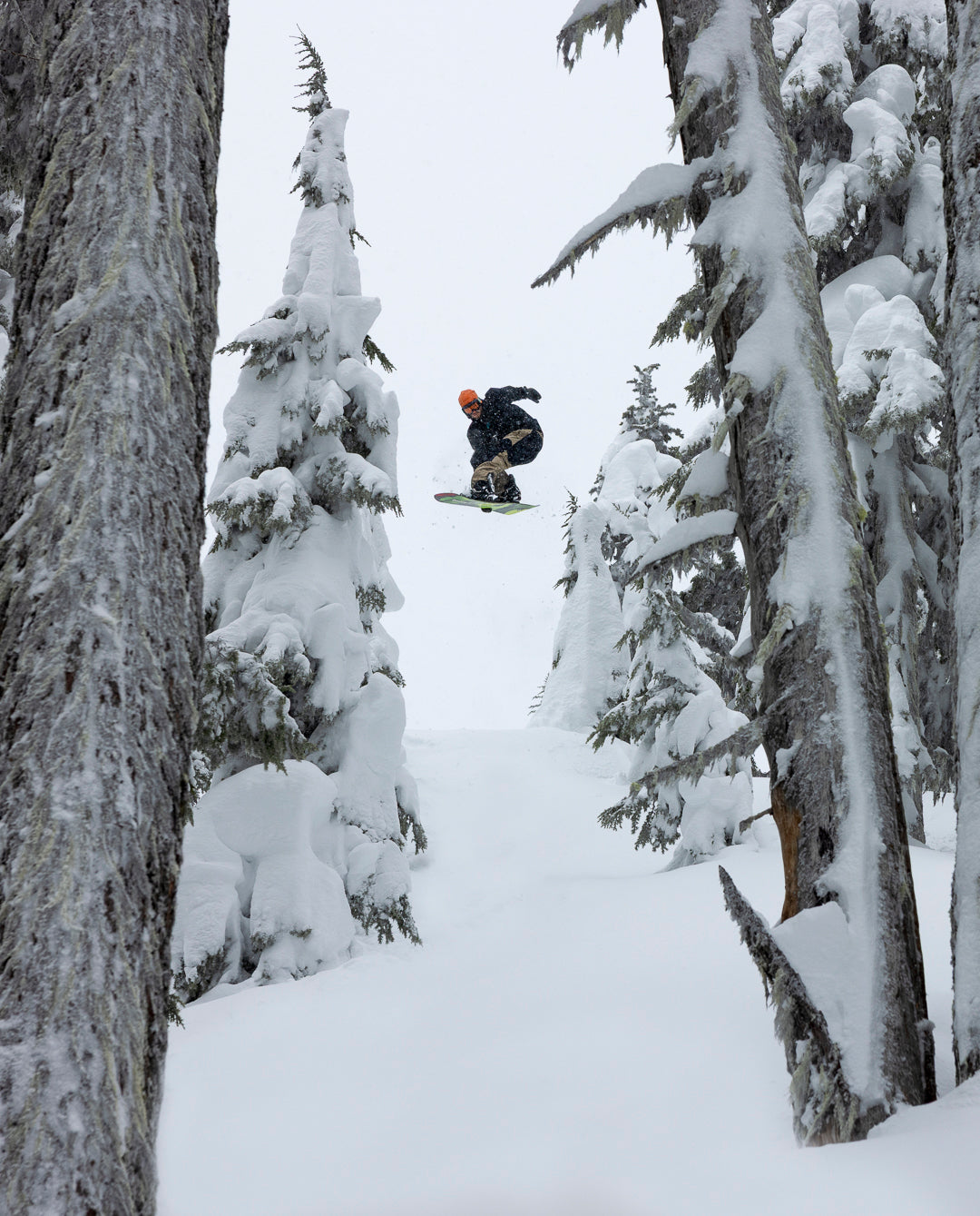 The Accountant Collection