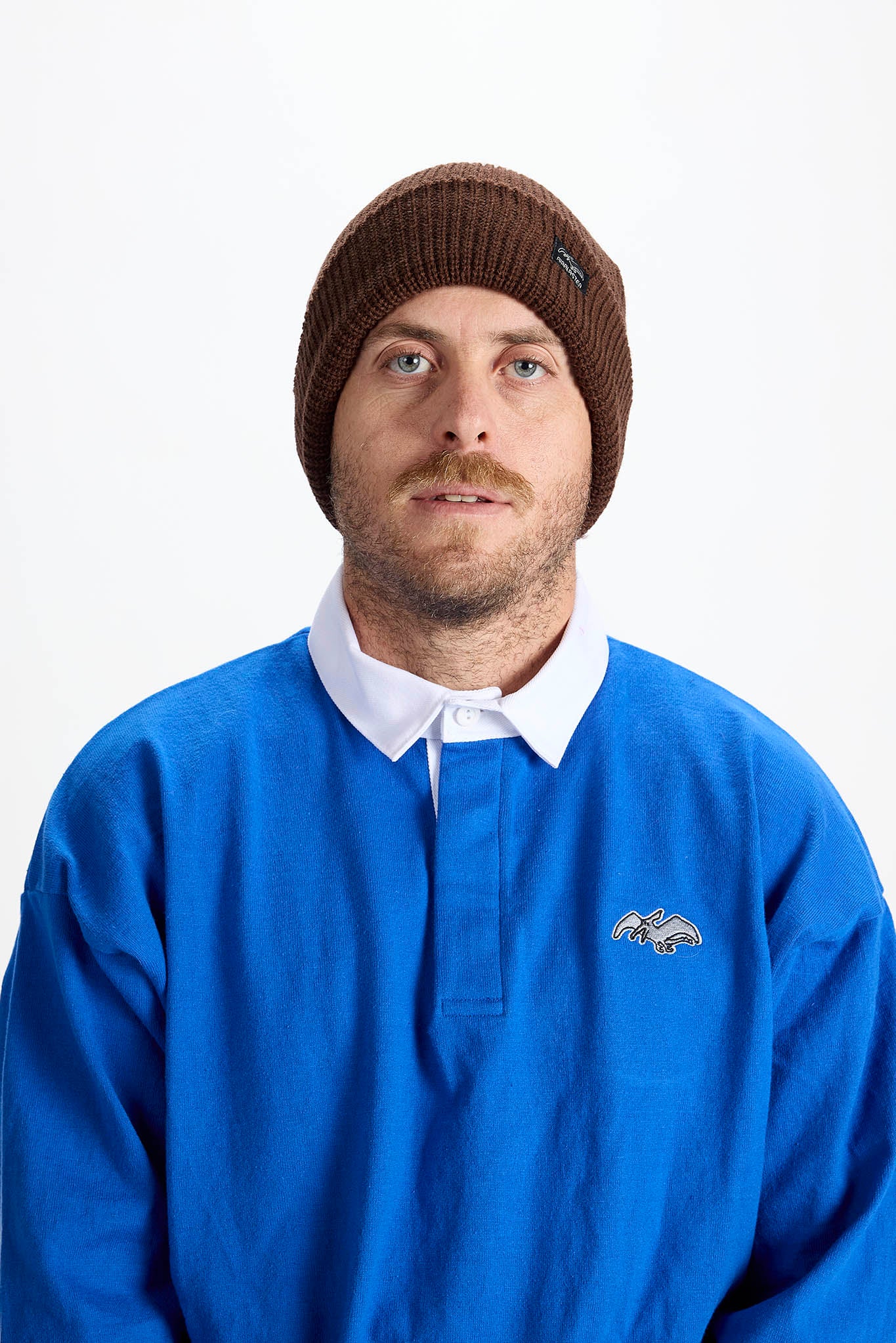 A man wearing a brown knit beanie and a blue long-sleeve rugby-style shirt with a white collar, photographed against a plain light gray background.